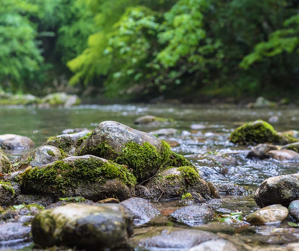 Resq First Slider Resq 3