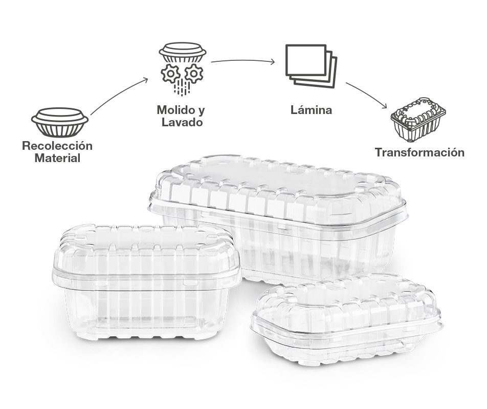 Sostenibilidad Bottle Section 1